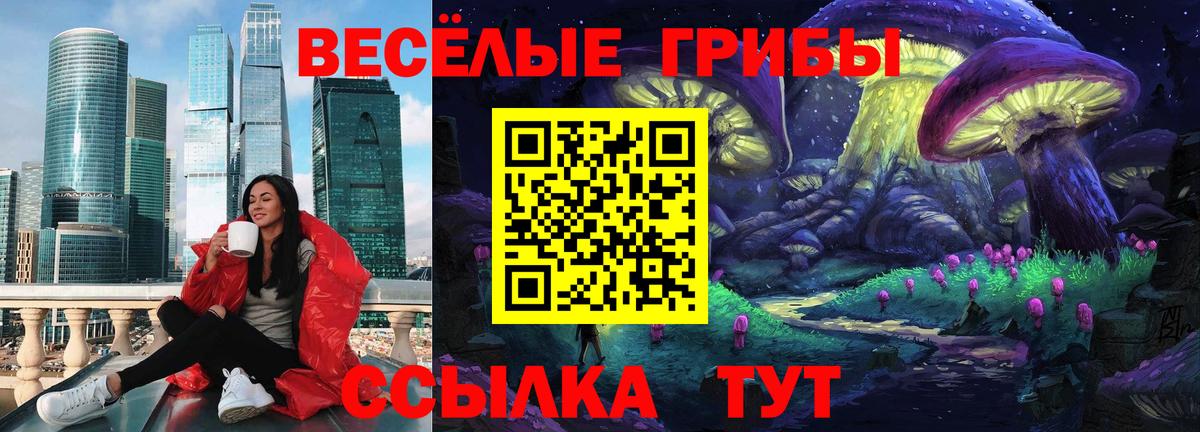 Рубцовск  Галлюциногенные грибы Cubensis  Вход с VPN 
