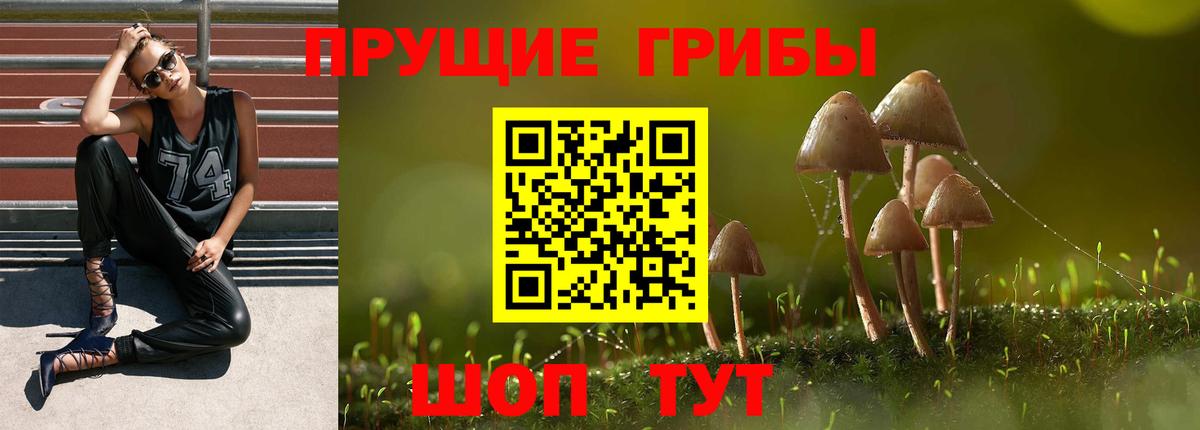 Псилоцибиновые грибы прущие грибы Рубцовск